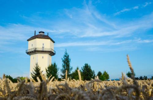 Vratimov Villa | Art Tower