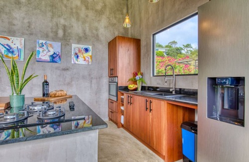 Tronadora Apartment | Artist built home Stunning Views of Lake Arenal!