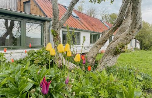 Nykobing Mors House | Artist's House With Soul Near Hanklit