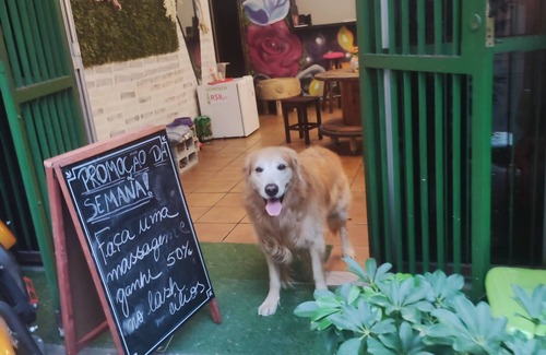 Santa Lucia Apartment | Arts Corner