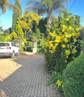 Greater Johannesburg Metropolitan Area Apartment | Artzys Studio