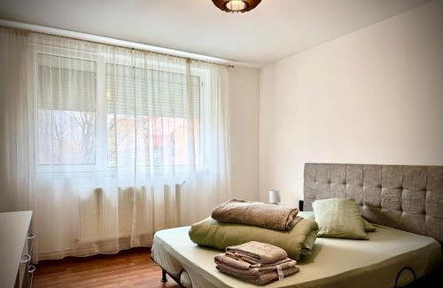 Timisoara Apartment | Asgard Residence Apartaments