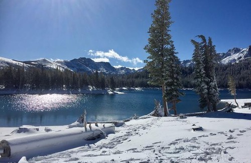Mammoth Lakes Apartment | Aspen Creek #119