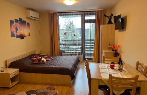 Razlog Apartment | Aspen Suites Студио Слънчев ден