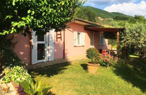 Viole House | Assisi Villa RandR