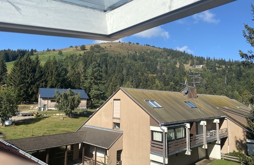 Muhlbach-sur-Munster Apartment | At Léa's cozy little nest