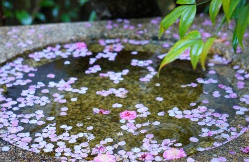 Ikoma Bed & Breakfast | Atelier Bee's Knees Bed & Breakfast