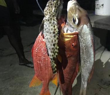 Thoddoo House | Athiriveli