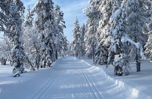 Yllasjarvi Ski Chalet | Atmospheric log cabin by the ski tracks