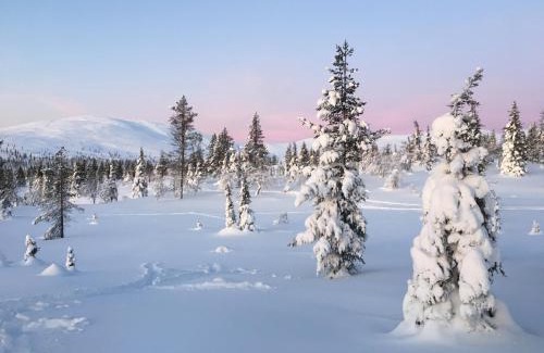 Yllasjarvi Ski Chalet | Atmospheric log cabin by the ski tracks