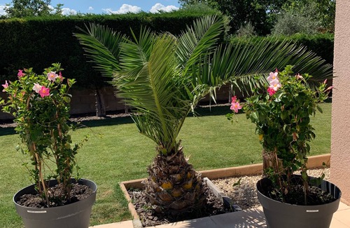 Molleges Villa | Attractive property with private pool in Mollege, Alpilles