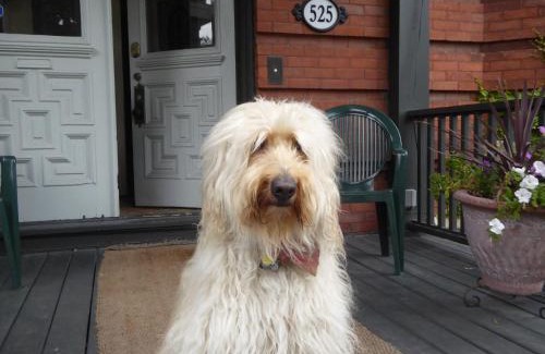 Downtown Ottawa Bed & Breakfast | Auberge King Edward Bed and Breakfast