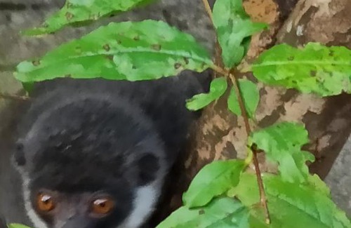 Anjouan Cabin | Auberge Maouwa Valley