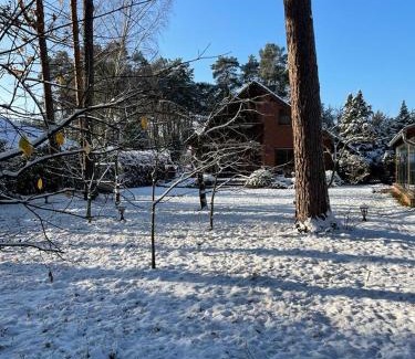 Borkheide House | Auf der Heide