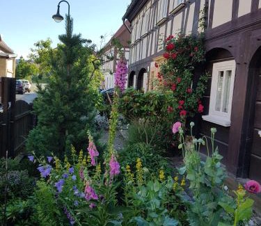 Grossschoenau Apartment | Auf-der-Muehlwiese