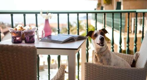 Sanxenxo Hotel | Augusta Eco Wellness Resort 4 Superior