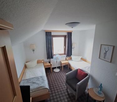 Bad Gottleuba-Berggiesshuebel Hotel | Augustusberg Hotel & Restaurant