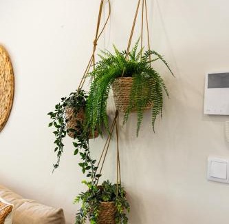 Furadouro Apartment | Aurora do Furadouro