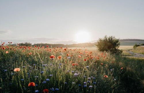 Sebnitz Apartment | Auszeit Domizile