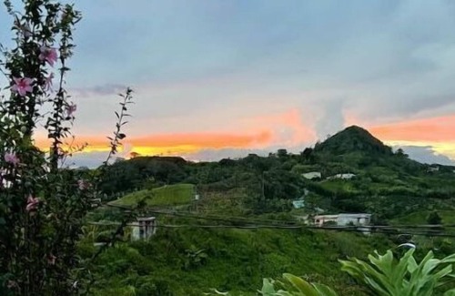 Tanama Cabin | Authentic home in the peaceful coffee mountains