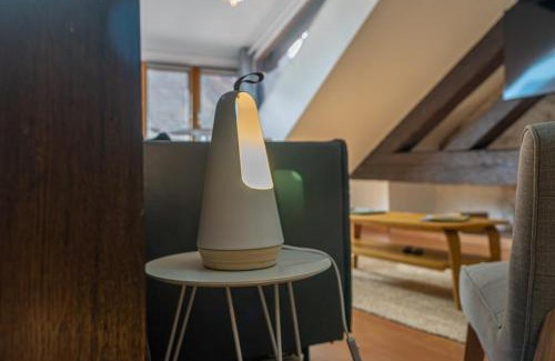 Annecy Old Town Apartment | Authentique Furnished flat