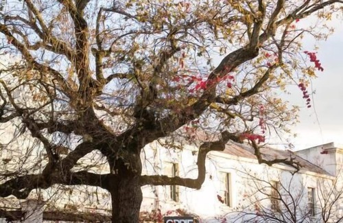 Stellenbosch Central Apartment | Avemore LaGratitude No 6- with backup power