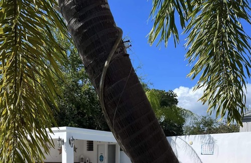 Boqueron Villa | Aventura en la Playa