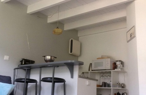 Avignon Cottage | Avignon, charming guest cottage in a town house with garden