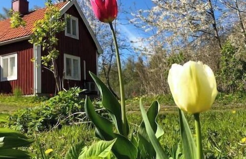 Motala House | Awesome home in Motala with WiFi and 0 Bedrooms
