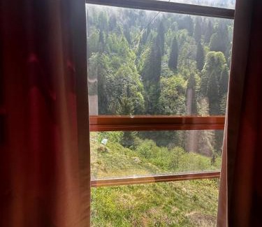 Ayder Yaylasi Hotel | Ayder Haylaz otel