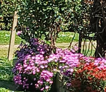 Orbetello Apartment | Azienda Il Tizzano