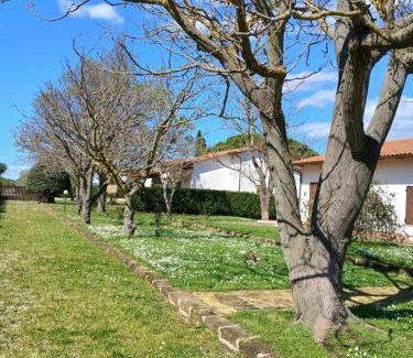 Orbetello Apartment | Azienda Il Tizzano