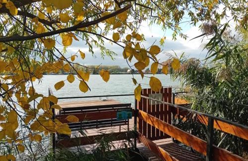 Domsod House | Békafütty Vendégház