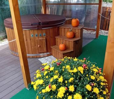 Domsod House | Békafütty Vendégház