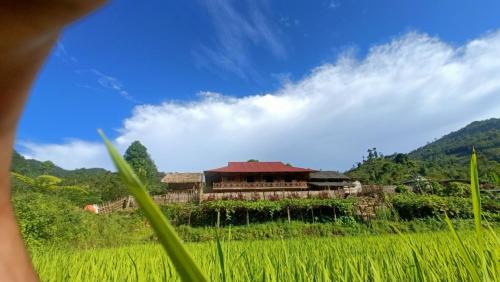 Bac Ha Hotel | Bình Bản Liền Homestay - Vang A Binh