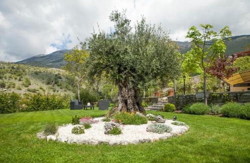 Pescosolido Bed & Breakfast | B&B Al Colle