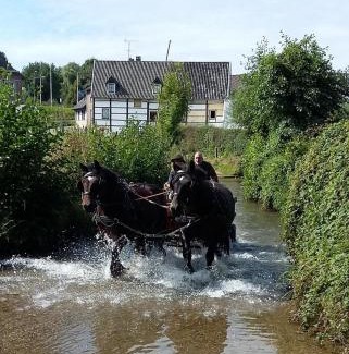 Mamelis Bed & Breakfast | B&B Bij Tante Toos