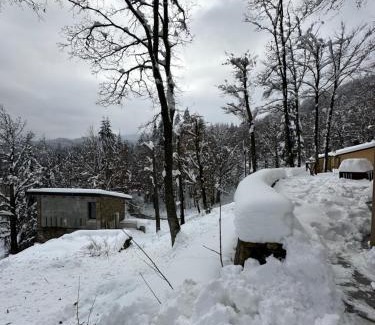 San Benedetto Val di Sambro House | B&b Casa Rioletta