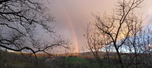 Urbino Apartment | B&B castelboccione stanza gialla condivisa