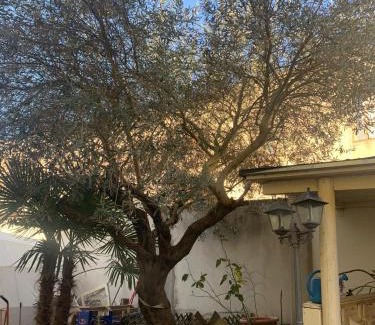 Comacchio Bed & Breakfast | B&B Dal Fiocinino