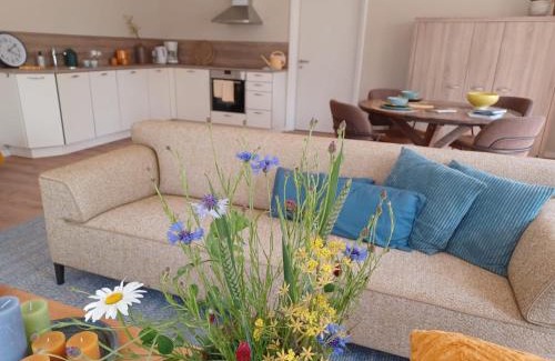 Noordbroek Bed & Breakfast | B&B De Korenbloem
