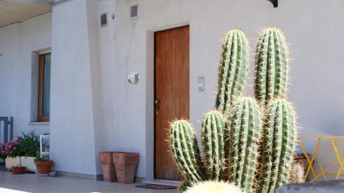Corridonia Bed & Breakfast | B&B del Cactus