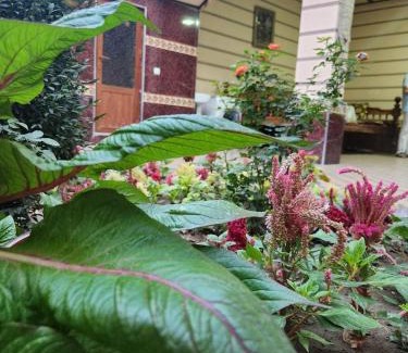 Samarkand House | B&B Giza