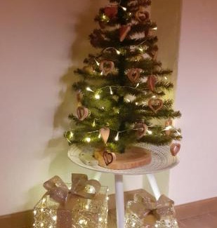 Santo Stefano di Cadore Bed & Breakfast | B&B IL BUCANEVE