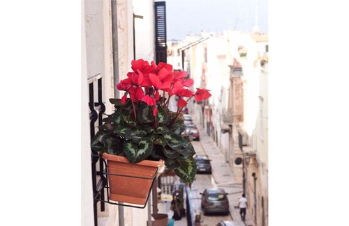 Toritto Bed & Breakfast | B & B Maria Chiara "Gardenia"