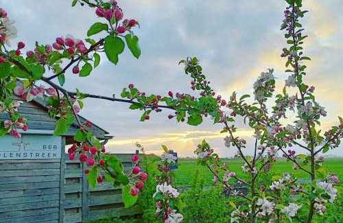 Oranjewijk Bed & Breakfast | B&B Molenstreek