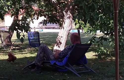 Tiszagyenda Bed & Breakfast | B&B Puszta Eldorado