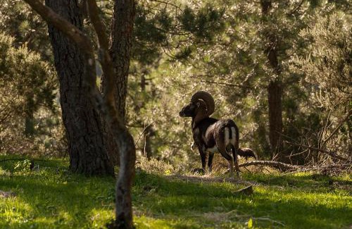 Bitti House | B&b Sa Zodia Guest House