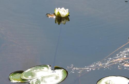 Bitti House | B&b Sa Zodia Guest House