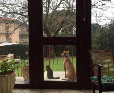 Marina di Carrara House | B&B Villa Acero